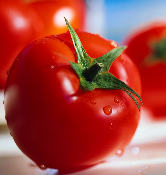Cara Menghilangkan Jerawat Dengan Tomat.jpg